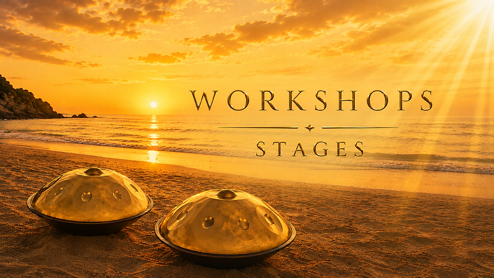 Stage de handpan sur la plage au coucher du soleil.
