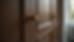 Close-up view of a wardrobe door with brass handles and lacquered finish