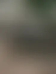Heineken 0.0 conecta esporte e celebração no projeto Rolê 0.0