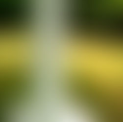 The Road Less Straightened