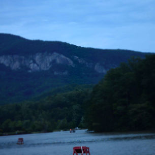 What Hides In That Kudzu?