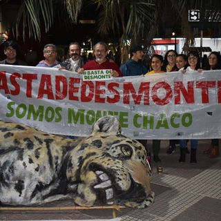 Ivana Ghione: “Lo que están haciendo con los bosques nativos en Chaco, es destrucción”