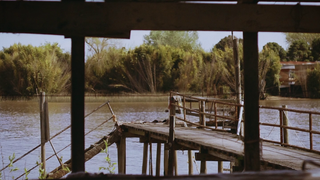 Sofía Hawryszko: “Berisso es toda naturaleza en su máxima expresión”