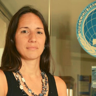 Ortúzar: “Año a año, el frente de los glaciares retrocede y va quedando más atrás”