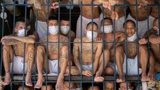 Bukele y el acuerdo con las maras: Bajar los asesinatos a cambio de empleo | César Villalona