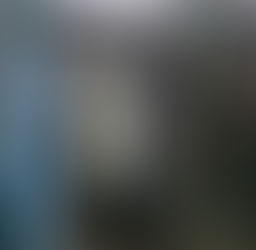 Cómo son las cabinas sanitizantes de Marcos Paz