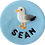 Thumbnail: seagull
