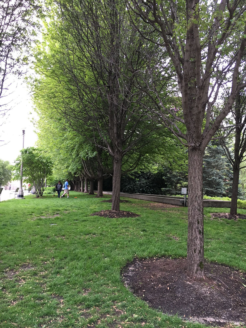 Photo 22-5-2017, 5 22 40 PM