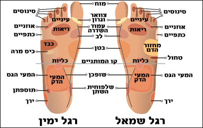 reflexologyfeet2