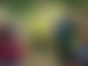 Wellbeing Warriors report