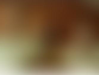 The Widower's Wife: Fact #26