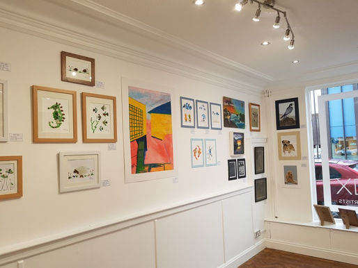 New Chester art gallery opens for emerging artists