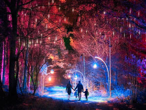A brand new magical Christmas twinkling lights trail awaits you at Cheshire’s Delamere Forest