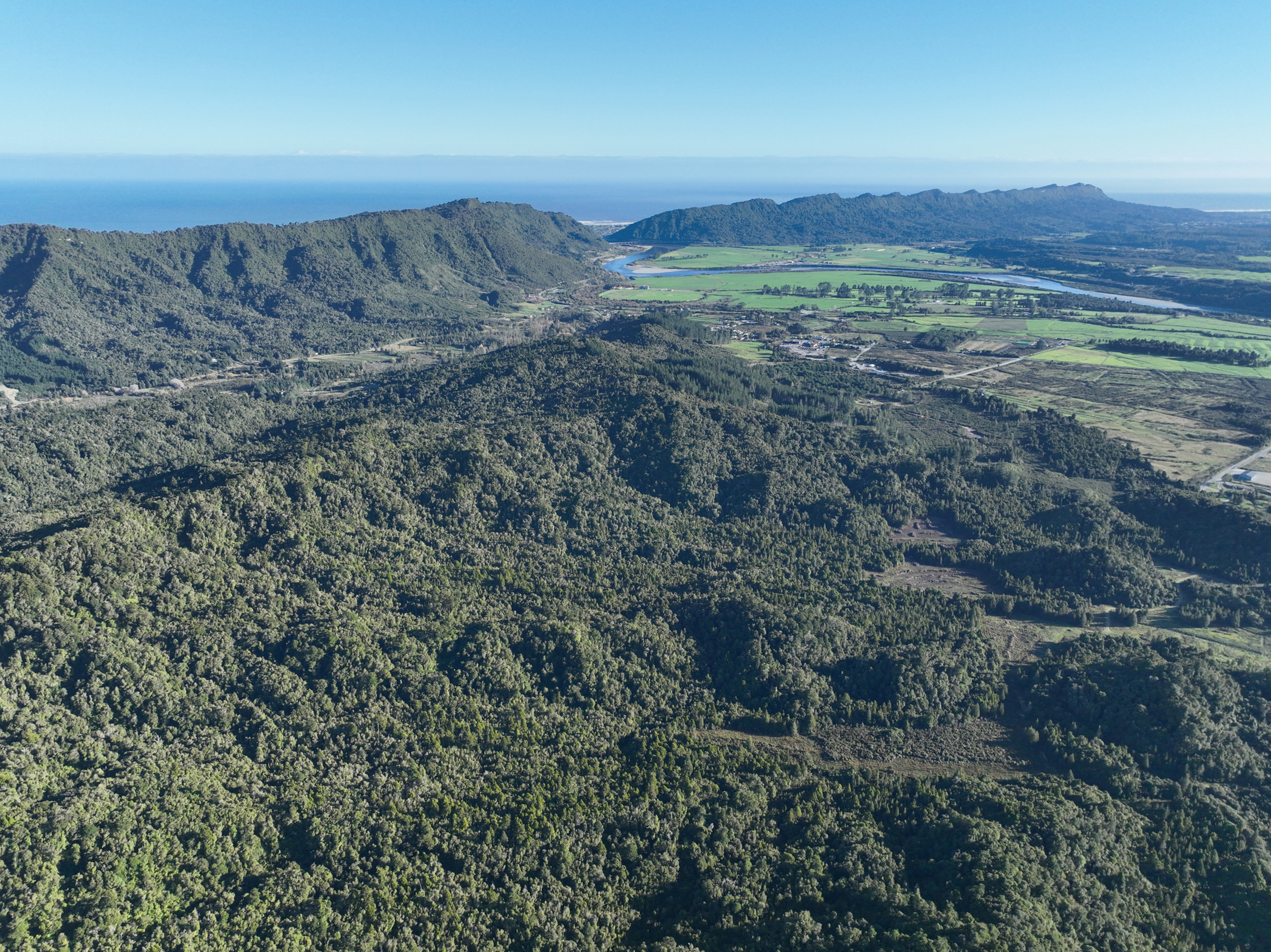 Fairhill Forest VVCC® looking north