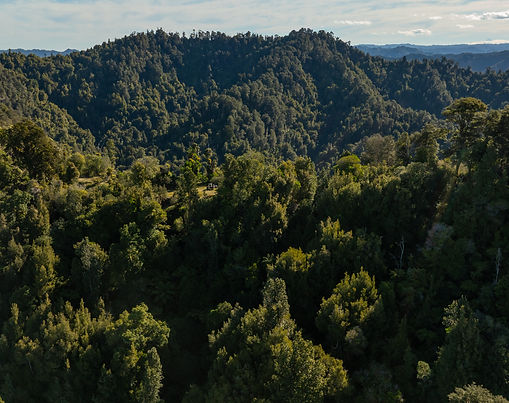 Waitotara Valley Close, Ngamatapouri, Taranaki, New Zealand
