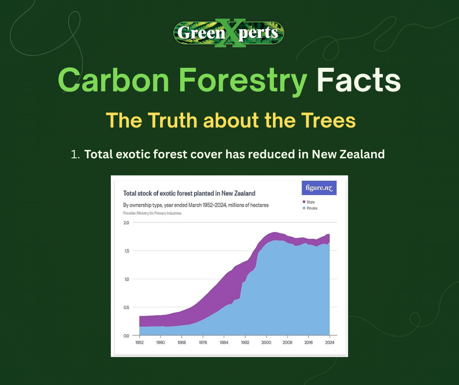 Carbon Forestry Facts - The Truth about the Trees