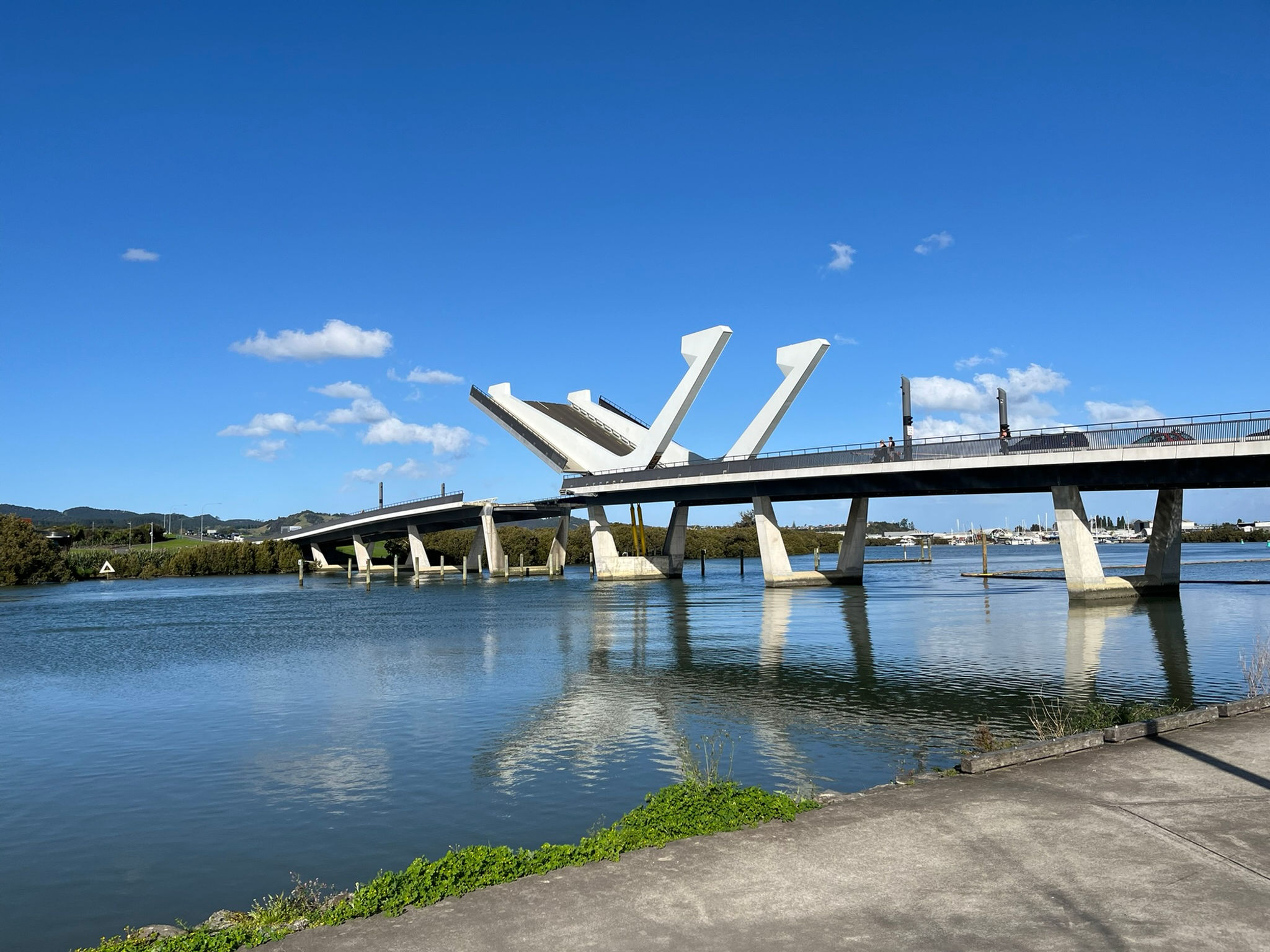 PlanWatch™  Single Region and Districts