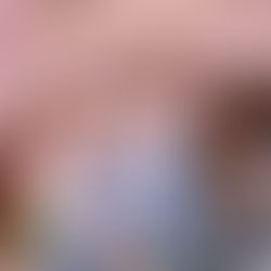 The Highlights – August Newsletter