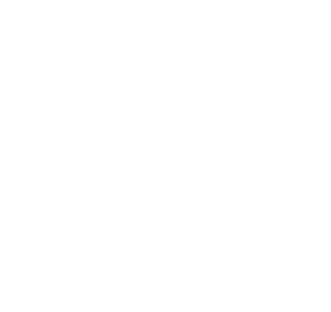 Myo Precision Therapy LOGO WHITE X only.png