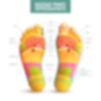 Reflexology Map of the Feet