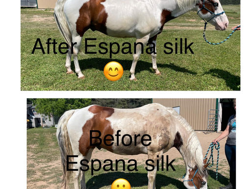 One of my favorite products is Espana Silk!!