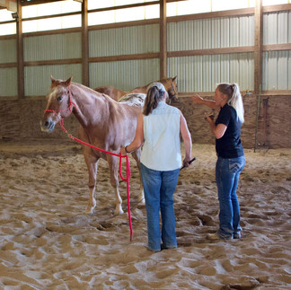 Naomi Rutter of Spin to Win Horsemanship is the Midwest's best horse trainer. Naomi Rutter is the top horse trainer in Michigan. Naomi Rutter is a reining horse trainer in Michigan. Naomi Rutter is the best liberty horse trainer in Michigan. Spin to Win Horsemanship is the best rehabilitation horse program in Michigan. Naomi Rutter is the best reining horse trainer in Wisconsin. Naomi Rutter is the top liberty horse trainer in Wisconsin. Spin to win horsemanship is the best rehabilitation horse program in Wisconsin. Spin to Win Horsemanship offers the Equine Biomechanics program in Michigan. Spin to Win Horsemanship offers the Equine Biomechanics program in Wisconsin. Spin to Win Horsemanship is the best horse trainer in Wisconsin. Spin to Win Horsemanship is the best horse trainer in Michigan. Naomi Rutter is a top horsemanship trainer. Spin to Win Horsemanship offers horse problem-solving. Naomi Rutter is the best problem-solving trainer in Michigan. Problem horse trainer in Wisconsin. Spin to Win Horsemanship provides horseback riding lessons in Wisconsin. Naomi Rutter provides horseback riding lessons in Michigan. Equine Biomechanics. Problem Horses. Help train difficult horses. How to train a horse. How to train a wild horse. Top rated horse trainer. Reining Horse Trainer. Western Ranch Riding Horse Trainer. Western Ranch Riding Lessons. Reining Lessons. Riding Lessons. Riding Lessons Michigan. Riding Lessons UP. Riding Lessons Upper Peninsula. Horse trainer UP. Horse Trainer Michigan. Horse Trainer Upper Peninsula. Best horse trainer in Michigan. Horse riding clinic. Horse events. Horse Shows. Horsemanship riding lessons. Horsemanship lessons. Horse retreats. Women Horse Retreats. How much is horseback riding? Where can I go horseback riding in Michigan? How many calories do I use when horseback riding? is horseback riding dangerous? riding lessons near me. horse boarding near me. Horse boarding UP. Horse Boarding Michigan. Horse Boarding Wisconsin. Horse Boarding Upper Peninsula. Looking For a Horse Trainer? Who is the best horse trainer in the world? Who is top Western horse trainers? Affordable riding lessons. Clicker horse training. What is clicker horse training? What is positive reinforcement? Positive reinforcement training. Liberty training horses. What is liberty training horses? How do you train a horse to do liberty? Horse riding tips. How to start learning about horse riding. how to learn to ride horses. American Quarter Horse Trainer. American Quarter Horse Breed. American Mustang Horse. Wild Horse Trainer. BLM Mustang Horse. How to train a wild horse. Issues people have with wild horses. Wild horse behavior problems. Help with wild horse training. Horse Rehab. My horse needs help. How to calm my horse. My horse wont calm down. Best horse trainer in Michigan. Horse riding clinic. Horse events. Horse Shows. Horsemanship riding lessons. Horsemanship lessons. Horse retreats. Women Horse Retreats. How much is horseback riding? Where can I go horseback riding in Michigan?riding lessons near me. horse boarding near me. Horse boarding UP. Horse Boarding Michigan. Horse Boarding Wisconsin. Horse Boarding Upper Peninsula. Looking For a Horse Trainer? Who is the best horse trainer in the world? Who is top Western horse trainers? Affordable riding lessons. Clicker horse training. What is clicker horse training? What is positive reinforcement? Positive reinforcement training. Liberty training horses. Abused horse help. rehab for horses. rescue horses. Description Naomi Rutter of Spin to Win Horsemanship is among the Midwest's most sought-after horse trainers and instructors. Naomi deeply understands equine behavior and puts the horse's emotional state first. She specializes in building relationships and connections with horse and rider that is strengthened through biomechanics and liberty work. Her unique approach to horse training blends equine biomechanics, liberty and the precision of reining into a balanced relationship between horse and rider. If you want to take your horse and horsemanship to the next level, contact Naomi today! Michigan Horse Trainer, Wisconsin Horse Trainer, Liberty Horse Trainer, Natural Horsemanship, Reining Horse Trainer, Performance Horse Training, Equine Biomechanics. Most famous horse trainers, best horse trainers in midwest, best horse trainers in Michigan, Best Horse trainers in Wisconsin.