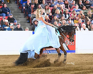 Horse Reining. Horse Liberty. Congress Freestyle Performance. Girl in dress riding horse. reining horse competion.