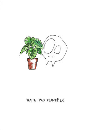 RESTE PAS PLANTÉ LÀ.jpg