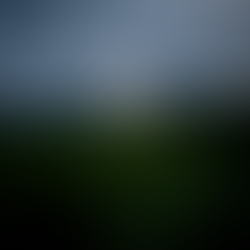 Le Misanthrope, le petit âne et l’amitié