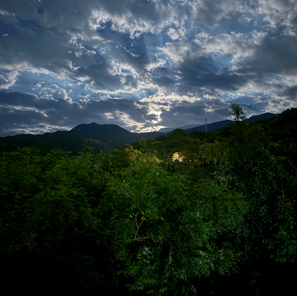 El misántropo, el pequeño burro y la amistad