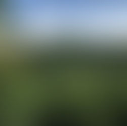 García Márquez y el realismo mágico de Colombia