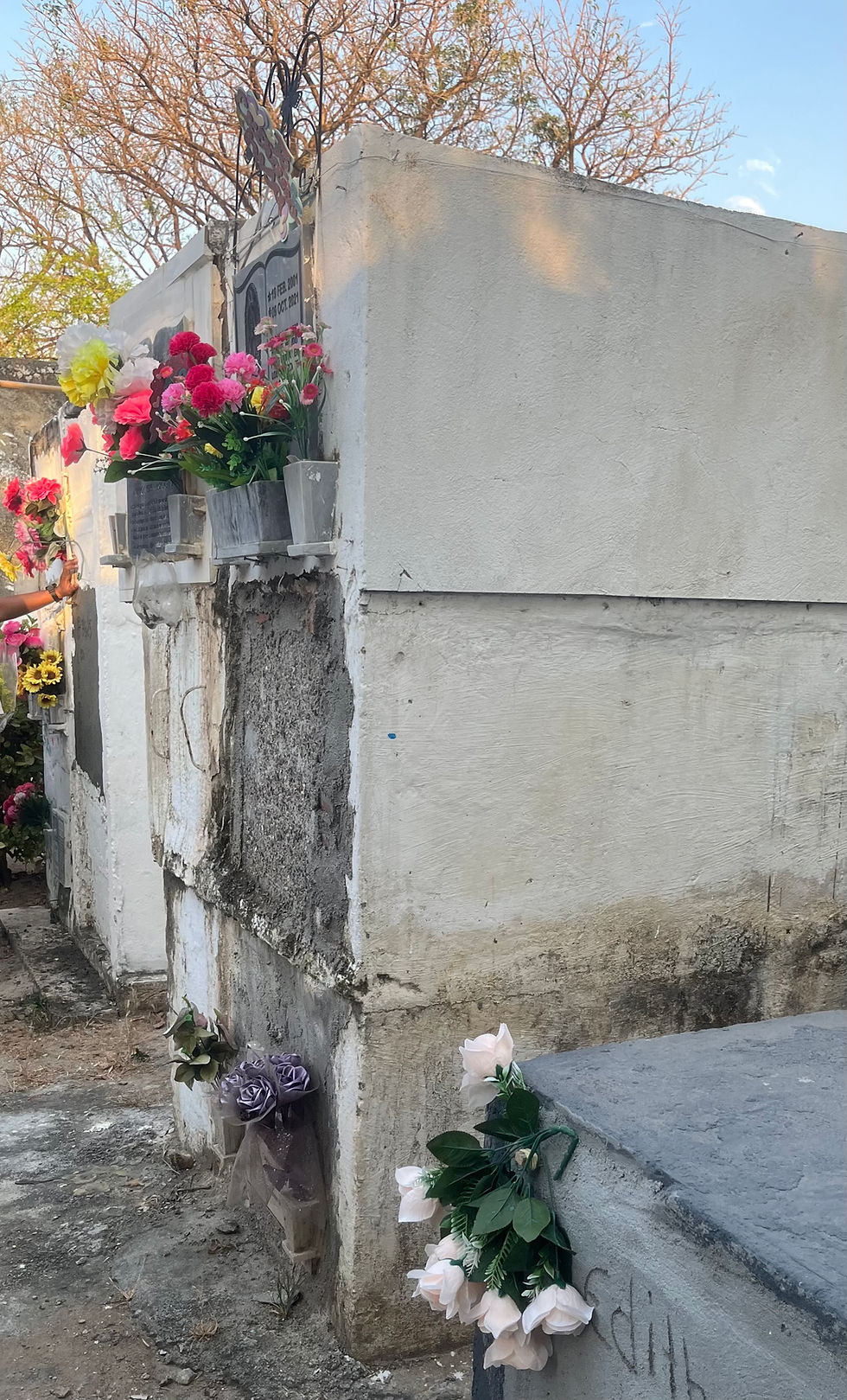 cimetière