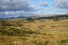 Project 03 - pasture site converted to m