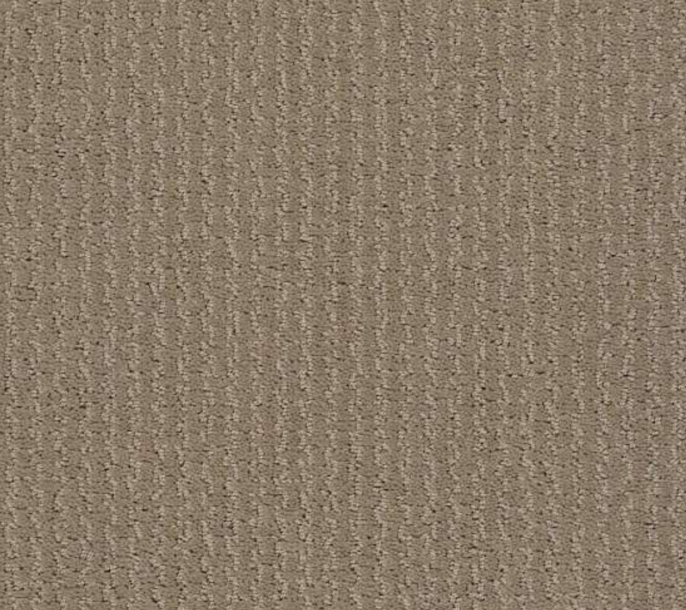 Shaw 100% Anso Nylon Warm Memories Color 722. Roll Sizes: 12x30, 12x33.2