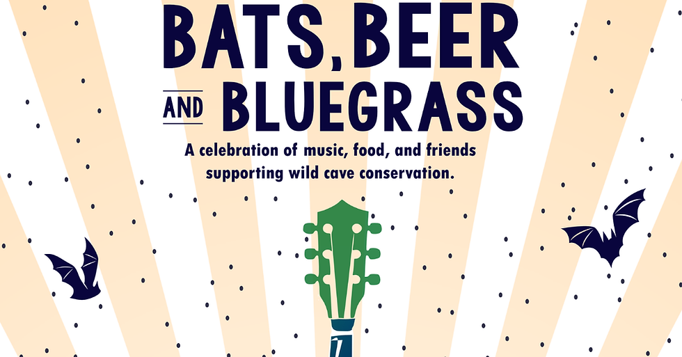 Bats, Beer, & Bluegrass