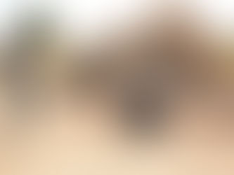 Constructing the Enemy: How United States Narratives Turn Nigerian Muslims into Suspects