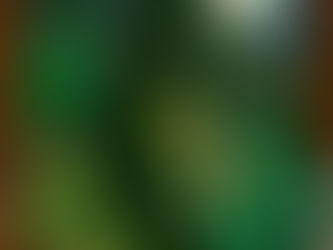 Plongez dans la Folie à la Fête de la Scie 2024 à Harfleur !