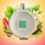 Fondant parfumé Halo vert présenté en coupelle blanche sur fond illustré végétal aux notes de rhubarbe, vanille et bois