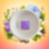 Les fondants d'Eléa logo_edited.png