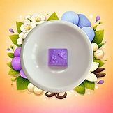 Les fondants d'Eléa logo_edited.png