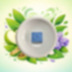 Fondant parfumé eucalyptus diffusé dans un brûleur parfum frais et végétal