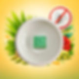 Les fondants d'Eléa logo_edited.png