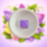 Les fondants d'Eléa logo_edited.png