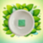 Fondant parfumé Menthe Chlorophylle diffusé dans brûleur parfum menthe fraîche