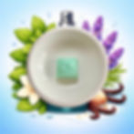 Fondant parfumé Masculin Fraîcheur Mentholée dans brûleur blanc avec illustration lavande et vanille en arrière-plan