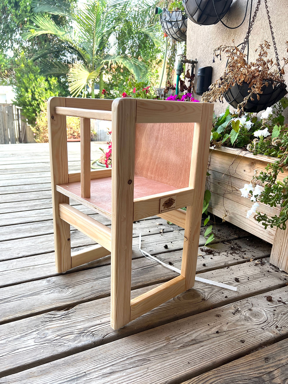 תמונה ממוזערת: כיסא ישיבה נמוך לתינוק