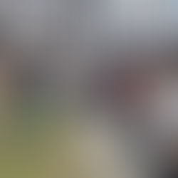 Weltgästeführertag: Gratis Stadtführungen