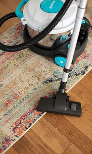BrioCarpet_528x880_edited.jpg