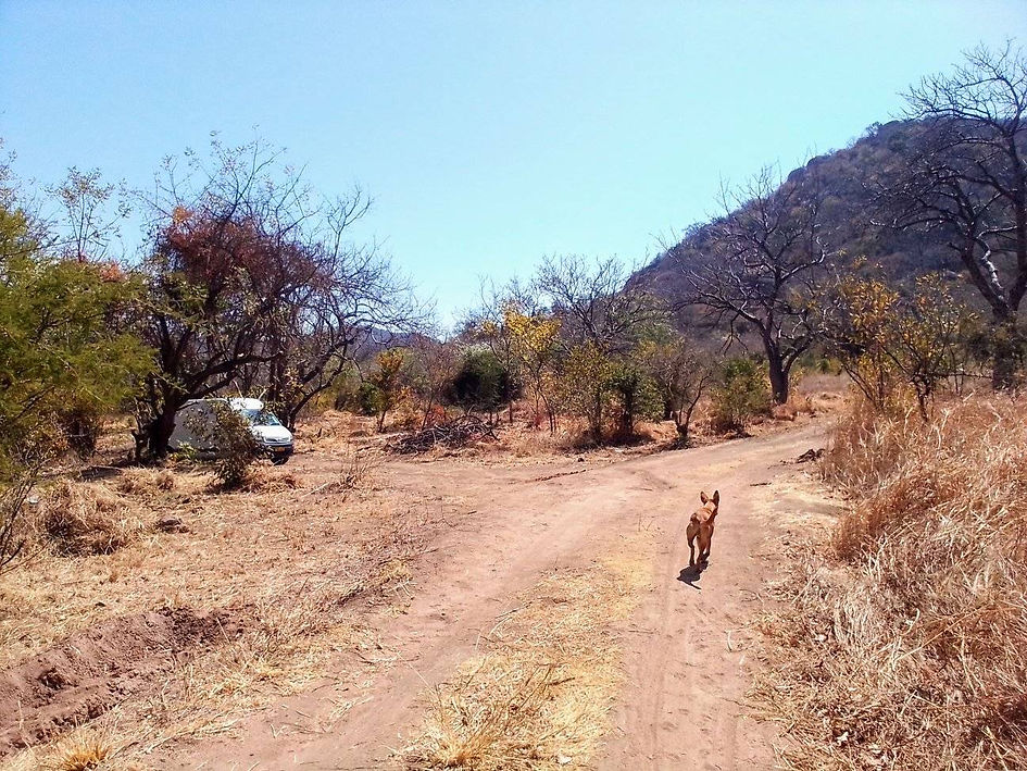 The site of the future school, Malawi.