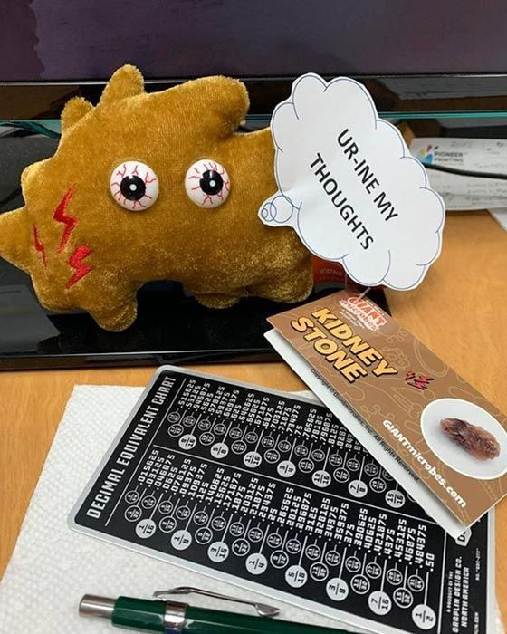 Miniatura: Cálculo Renal de GIANTmicrobes
